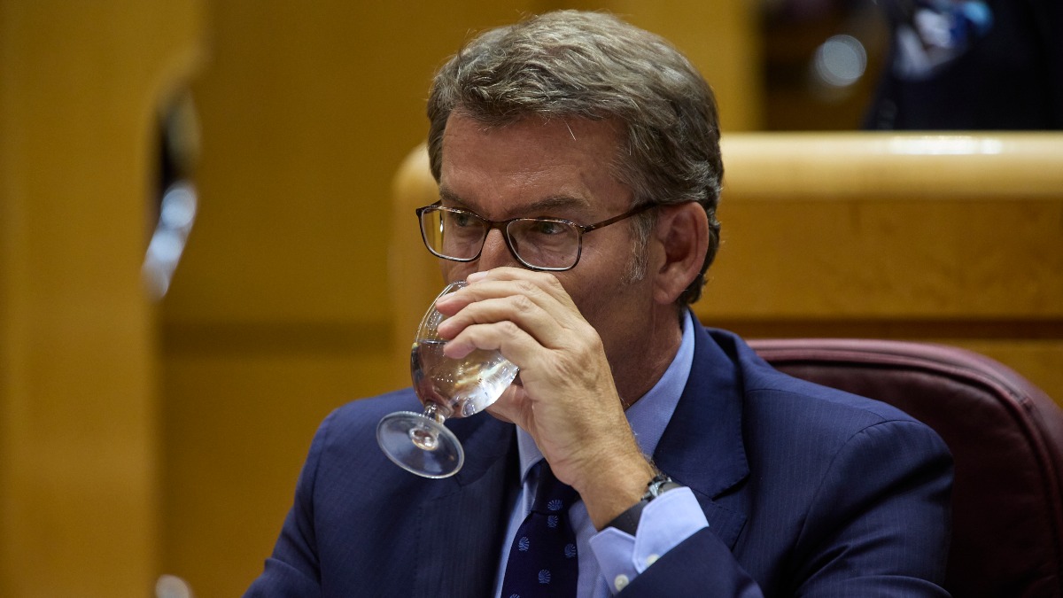 Alberto Núñez Feijóo en el Congreso (Fuente: PP)